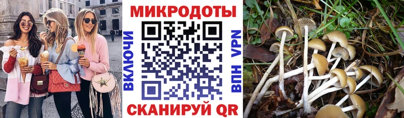 Галлюциногенные грибы Psilocybine cubensis  продажа наркотиков  Себеж 